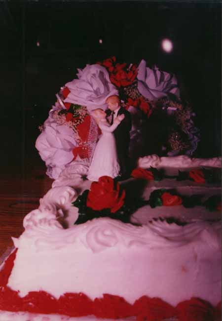cake - #6 copy.jpg (18080 bytes)